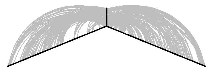 A poorly visualized hive plot showing strong connections between genes and arrays from Supporting Figure 6