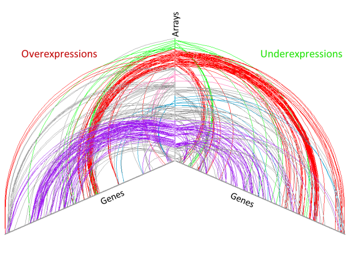 A version of the hive plot showing subtype colored connections between genes and arrays from Supporting Figure 6