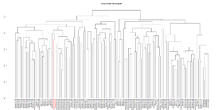 The array dendrogram reclustered by R