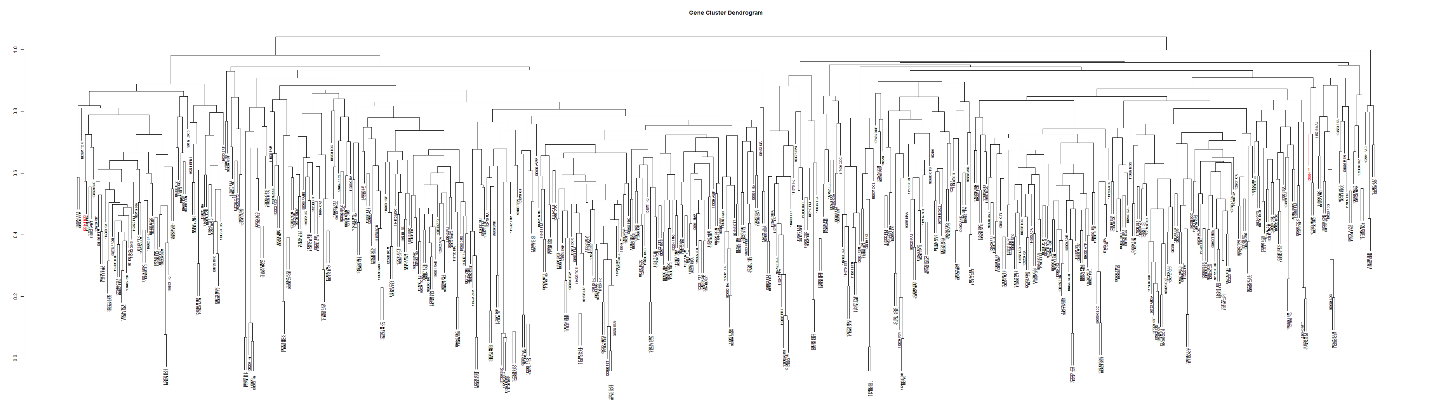 The gene dendrogram reclustered by R