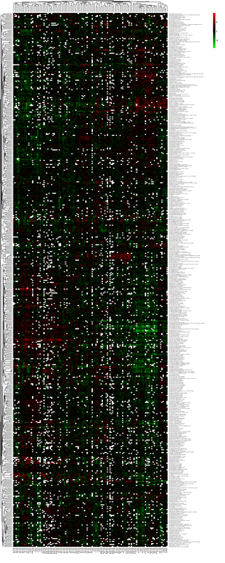 The heat map generated by R