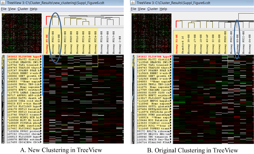 A side-by-side comparison of the new clustering with the original clustering as shown in TreeView 3.0