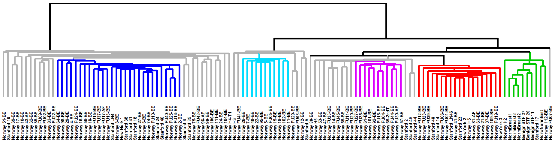 The dendrogram showing array clustering at the top of Supporting Figure 6