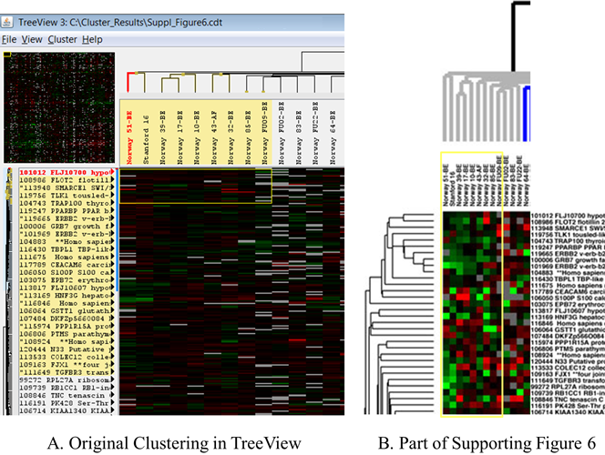 A side-by-side comparison of a subset of the heat map produced by TreeView 3.0 using the original data and the published Supporting Figure 6