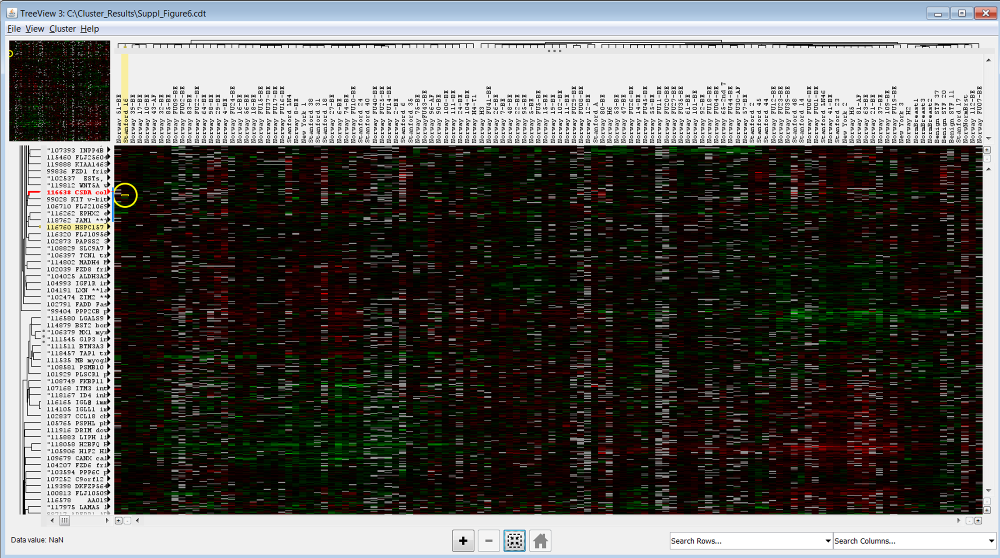 The default heat map generated in TreeView 3.0 after loading the original data